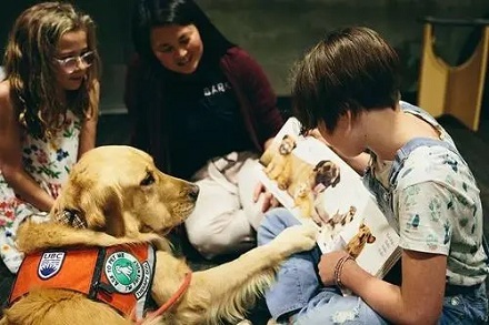 你知道“伴读犬”吗？ 第3张
