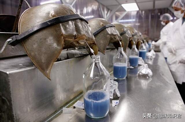 8条超级有趣的冷门小知识分享，一起涨知识吧 第17张