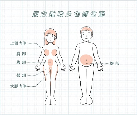 为啥女生要比男生白呢？ 第3张
