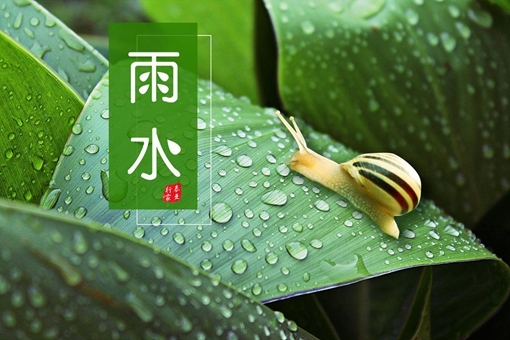 背诵二十四节气歌 第1张