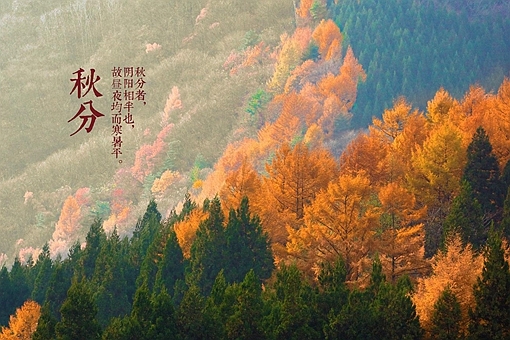 秋分的优美诗词 第1张