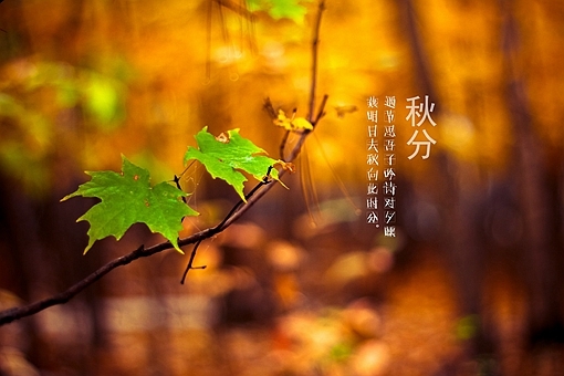 秋天古诗最好的10首(含赏析) 第1张