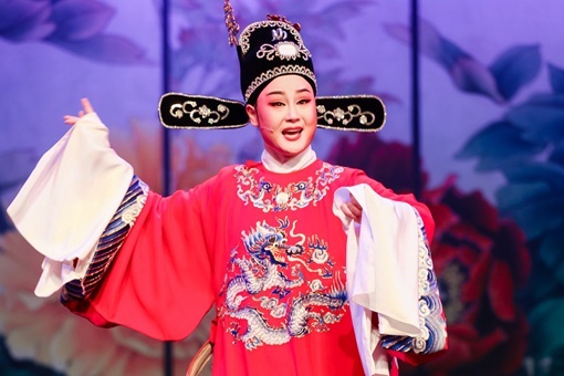 黄梅戏女驸马民女名叫冯素珍吗 女驸马历史上真有其事吗 第5张