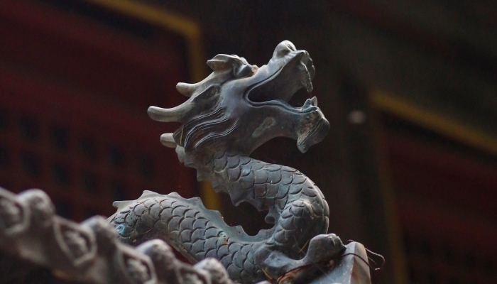 四海为家是什么动物 第1张