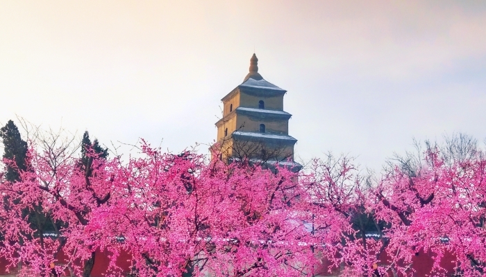 大雁塔为什么叫大雁塔 第3张