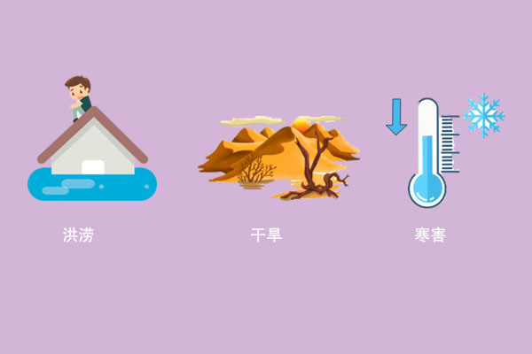 你听说过农业气象灾害监测预测技术吗？ 第1张