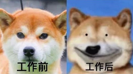 网络流行语“累丑”是什么意思？ 第1张