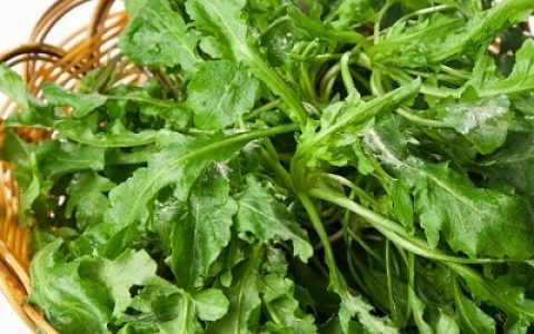 荠菜的含钙量比牛奶的更高？
