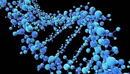人和人之间有99.9%是相同的？ 第1张