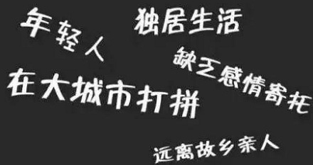 “空巢青年”是什么意思？ 第3张