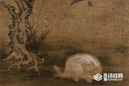 逼兜是什么意思 逼兜是哪里的方言 第5张
