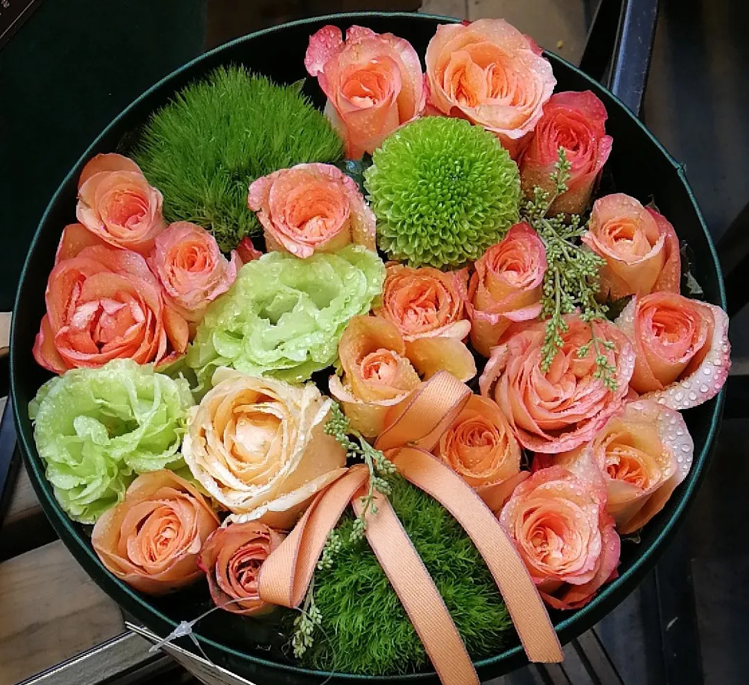100种玫瑰之44金辉 第3张