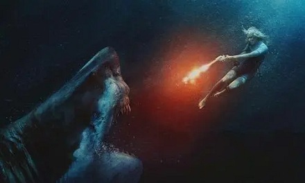 海上遇险遭鲨鱼该如何自卫？ 第3张