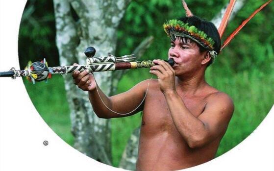 印第安人吹筒箭如何射杀几十米外猎物的 第1张