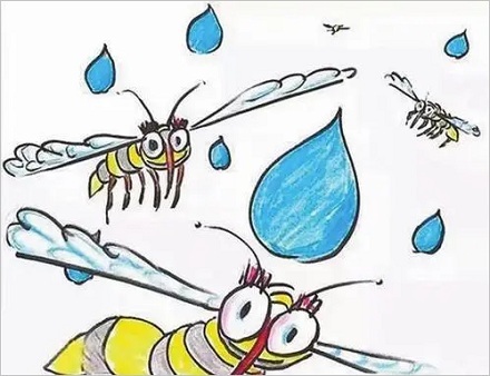 雨滴为什么砸不死蚊子？ 第5张