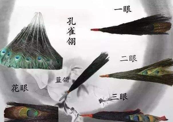 清朝的三眼花翎为何如此贵重？两百多年只赐七人，和珅都不曾获得 第15张