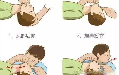 人工呼吸的发明者,东汉时期的医圣张仲景 第7张