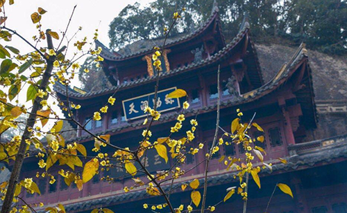 被活活饿死的皇帝:南梁武帝萧衍 第5张