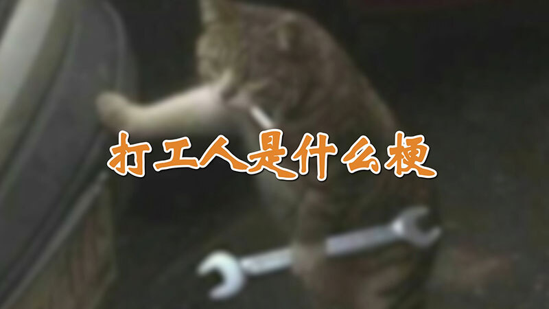 打工人是什么梗 打工人出自哪里 第1张