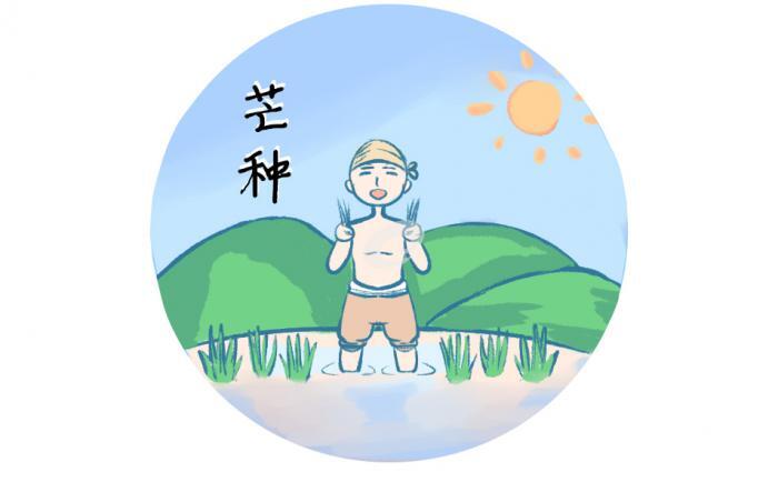 芒种的寓意及习俗活动 第1张