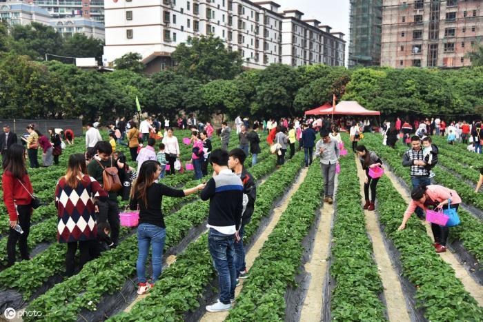 现在什么工作比较自由，不受约束，工资还比较高？ 第21张