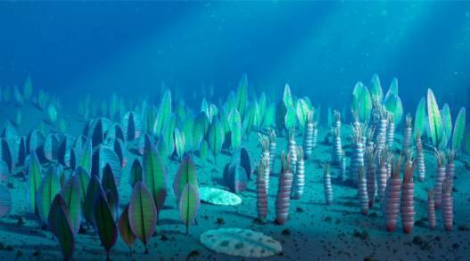 人体中仍有5.55亿年前的海洋生物基因 第1张
