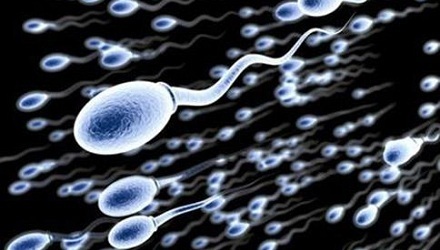 说话音调高的男性精子数量多？ 第1张