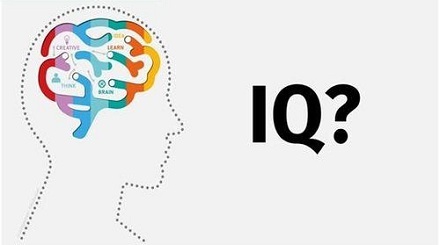 人类的智商最早是如何计算的？ 第1张