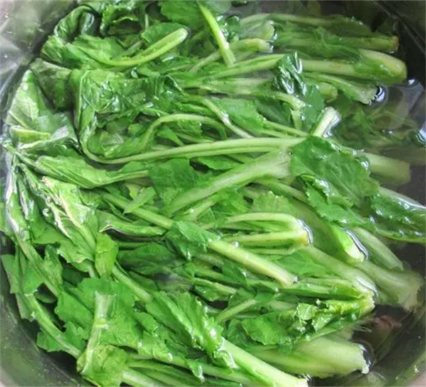 苔菜为什么吃前要焯一下水 焯水是为了去除有害物质 第3张