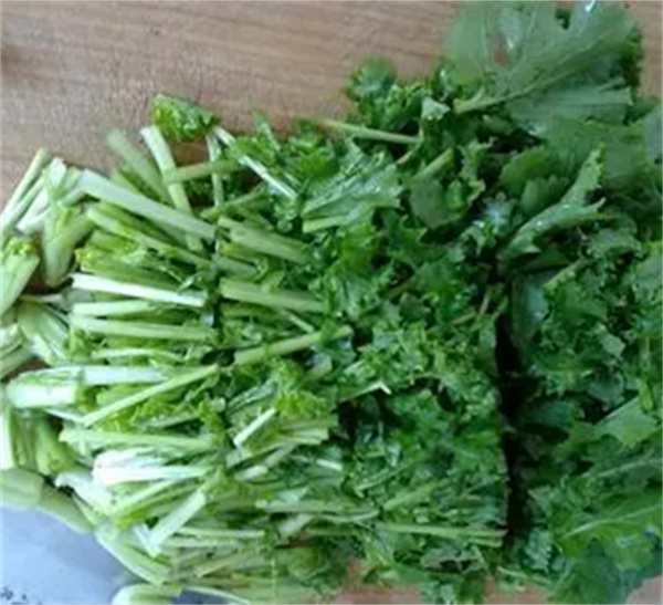 苔菜为什么吃前要焯一下水 焯水是为了去除有害物质 第5张