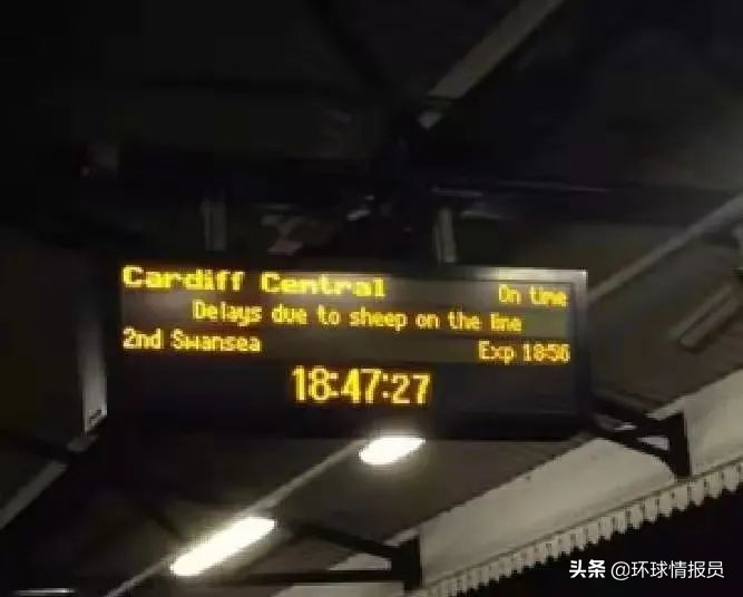 英国由四国联合组成，为什么国旗唯独缺少了威尔士元素？ 第37张
