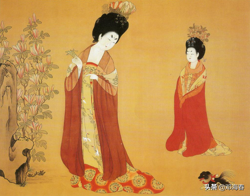 杨贵妃得唐明皇三千宠爱在一身，为何却没有生下一男半女？ 第11张