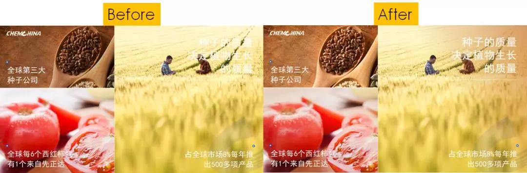 做PPT必须掌握的几种图片处理技巧 第1张