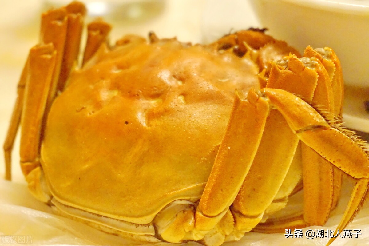 上海最出名的15道名菜，特色本帮菜菜谱，浓油赤酱，你吃过几道呢 第29张