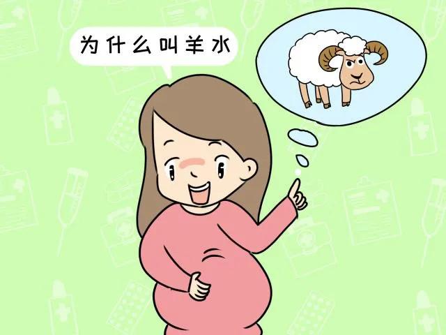 为什么孕育胎儿的液体叫"羊水"，而不叫“人水”“牛水”？ 第1张