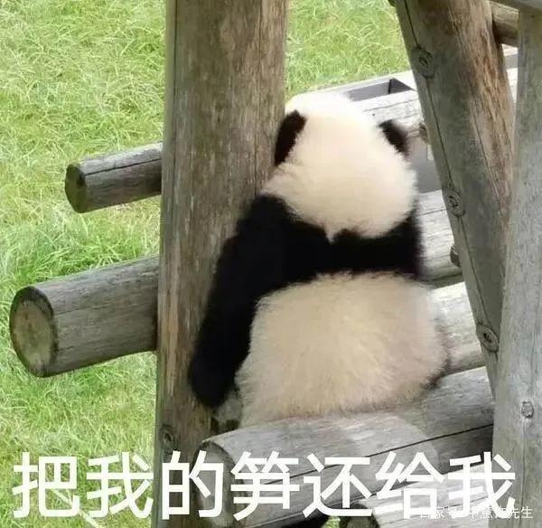网络上五大热门梗你了解多少 第1张