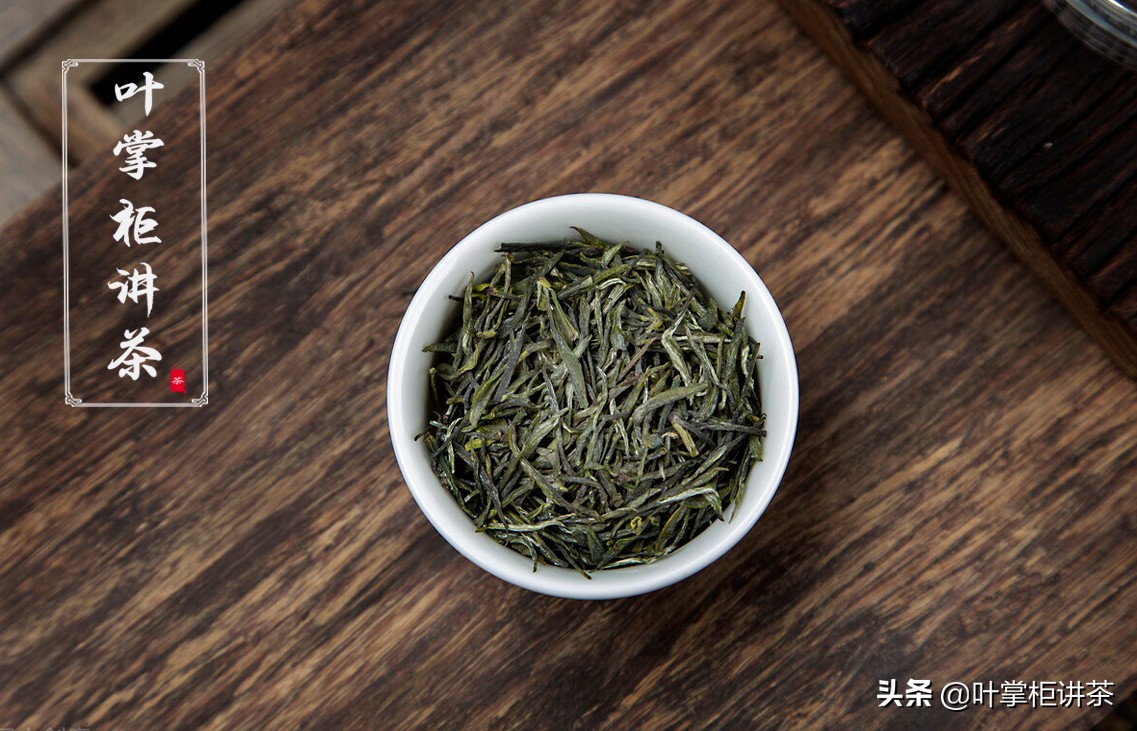 你知道毛尖茶为什么这么出名吗？以及如何分辨的？ 第1张