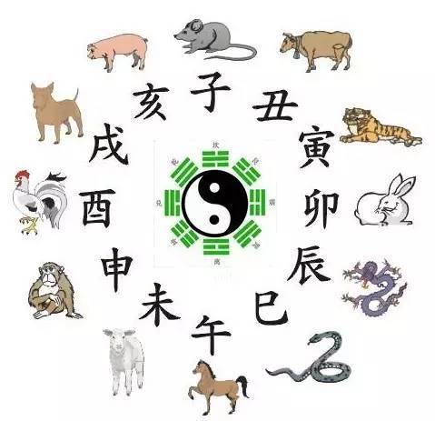 子时是几点到几点钟的属什么【十二生肖对应的十二时辰和排序】 第1张
