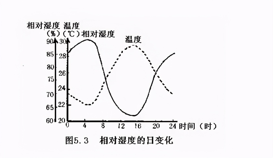 绝对湿度和相对湿度，你能分清吗？ 第15张