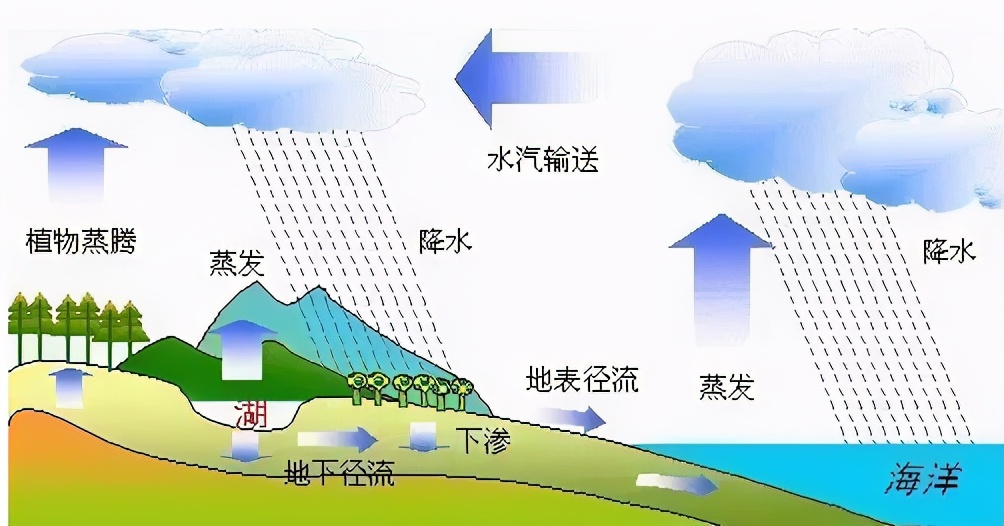 绝对湿度和相对湿度，你能分清吗？ 第9张