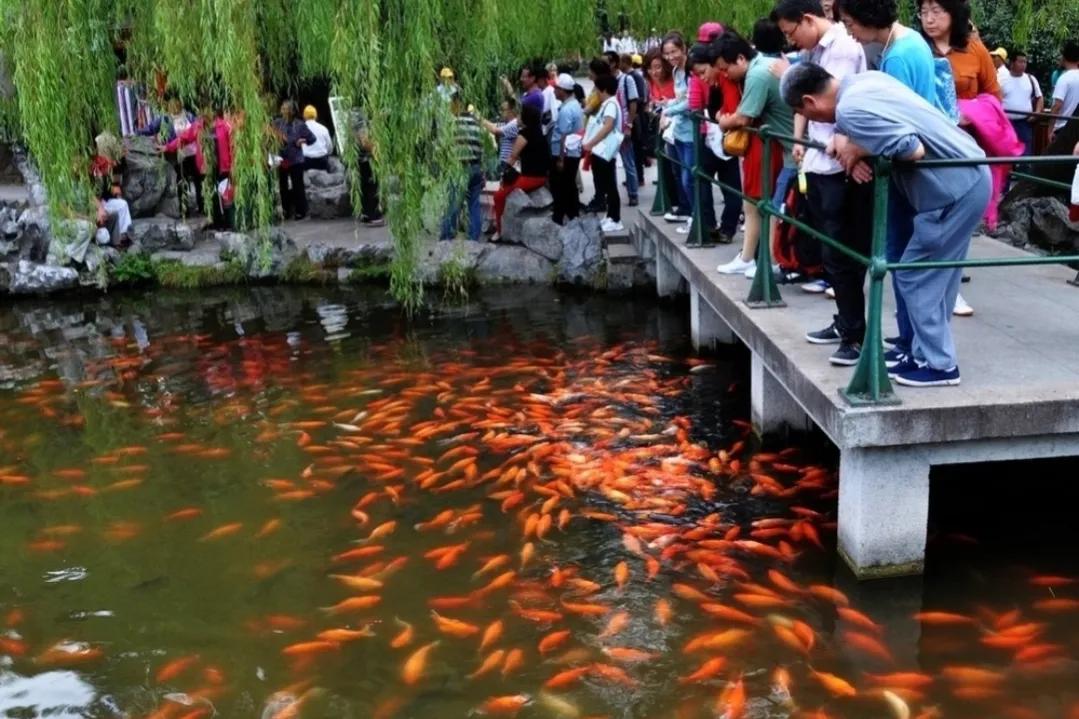 来杭州玩，必去的杭州西湖十景 第9张