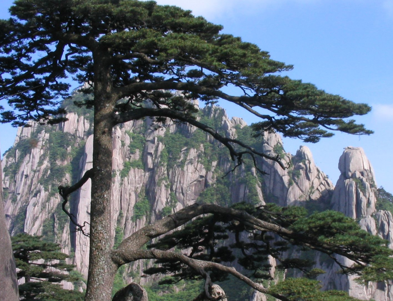 五岳归来不看山，黄山归来不看岳，黄山“四绝”为何独占鳌头？ 第3张