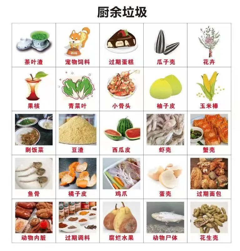 【垃圾分类】厨余垃圾如何分类，又有哪些投放要求呢 第1张