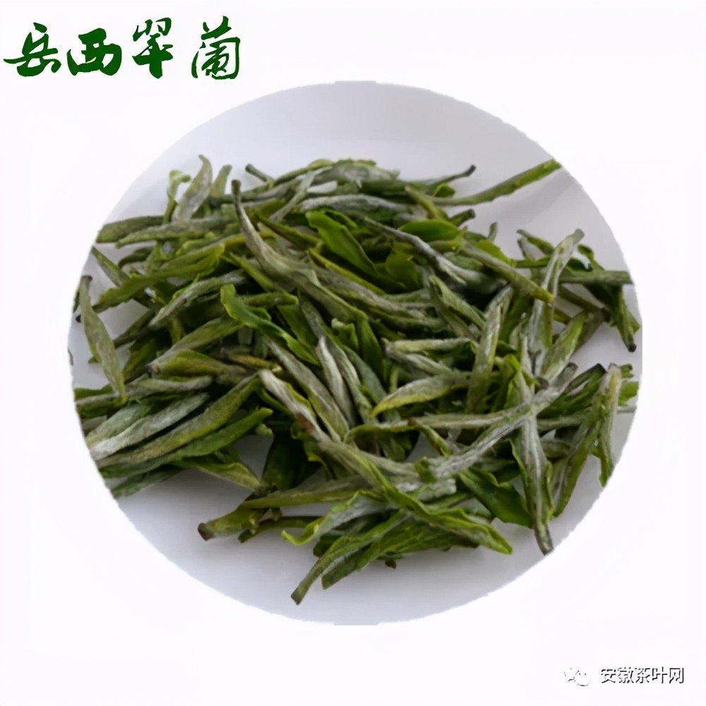 安徽的十大名茶有哪些 第15张