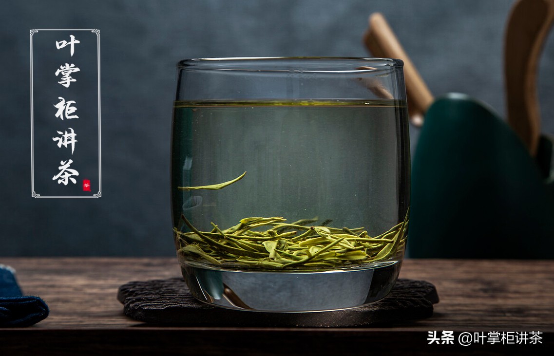 你知道毛尖茶为什么这么出名吗？以及如何分辨的？ 第3张