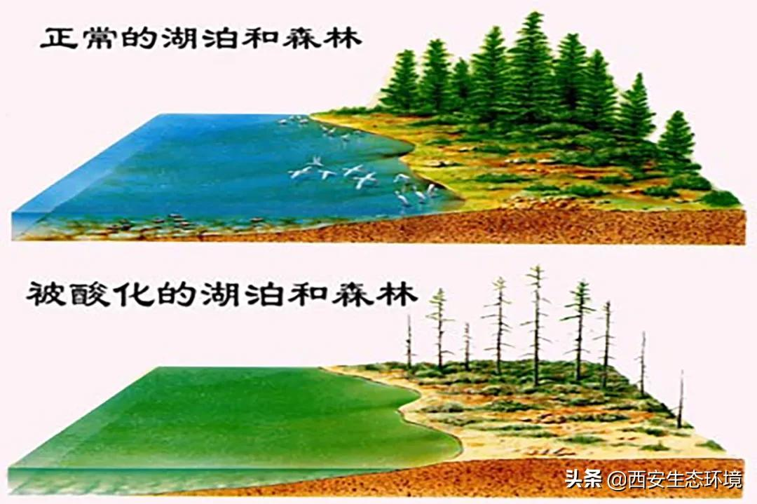 什么是酸沉降？酸雨有哪些危害？ 第1张