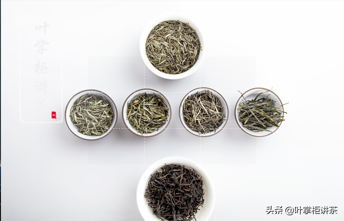 你知道毛尖茶为什么这么出名吗？以及如何分辨的？ 第5张