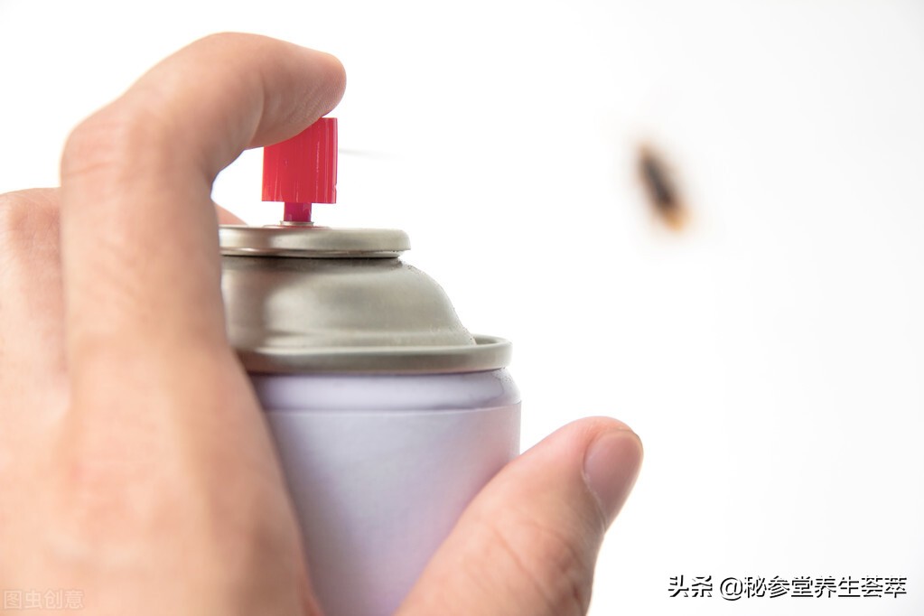 樟脑丸的气味对人有害吗 第5张