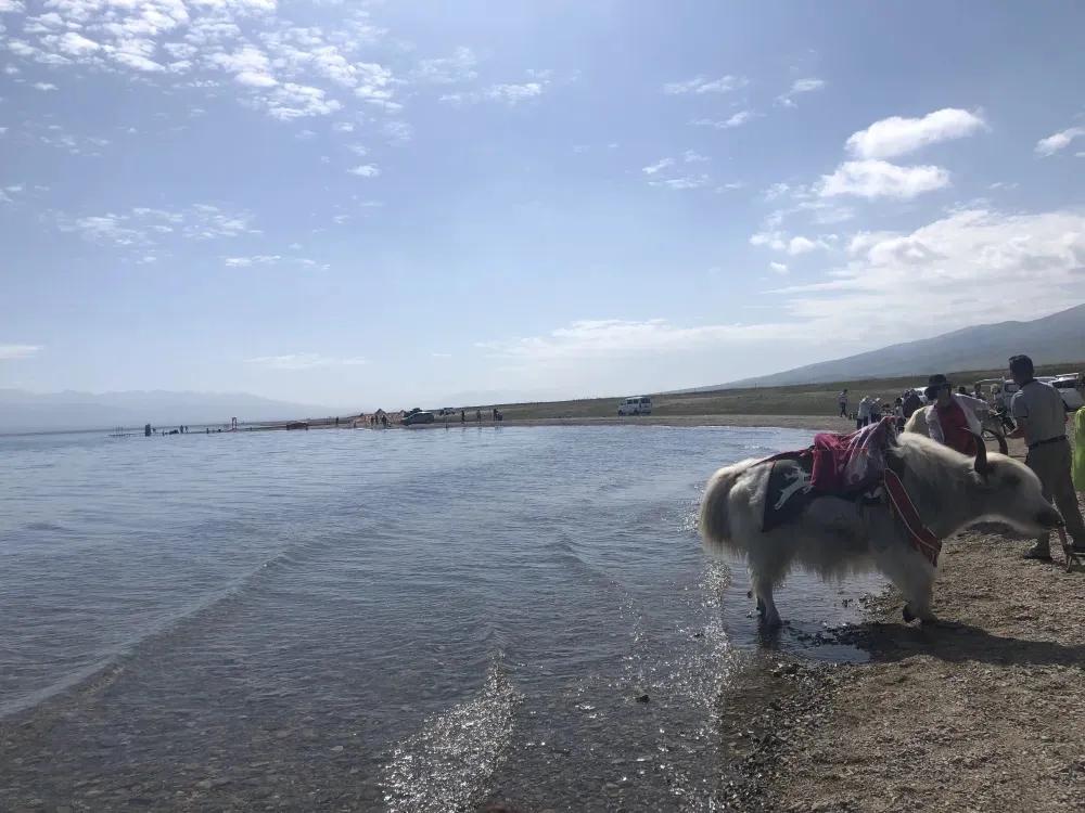 青海最值得去的10个地方 青海旅游攻略必去景点推荐 第3张