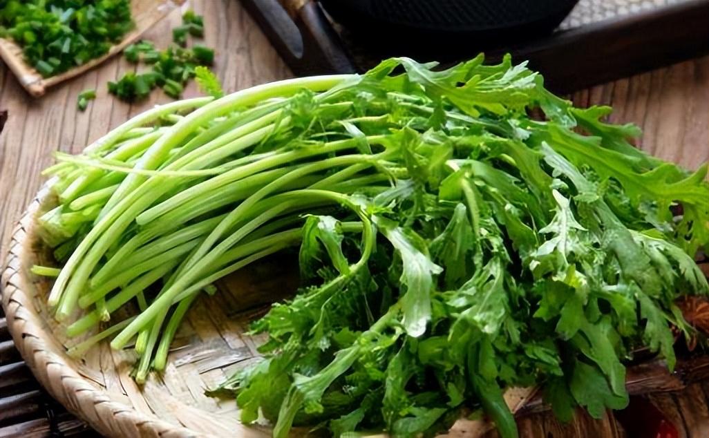 立秋后中什么蔬菜（适合立秋后种植的6种蔬菜） 第3张